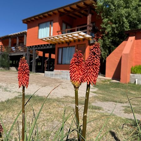 Cabana El Churqui Tafí del Valle Eksteriør bilde