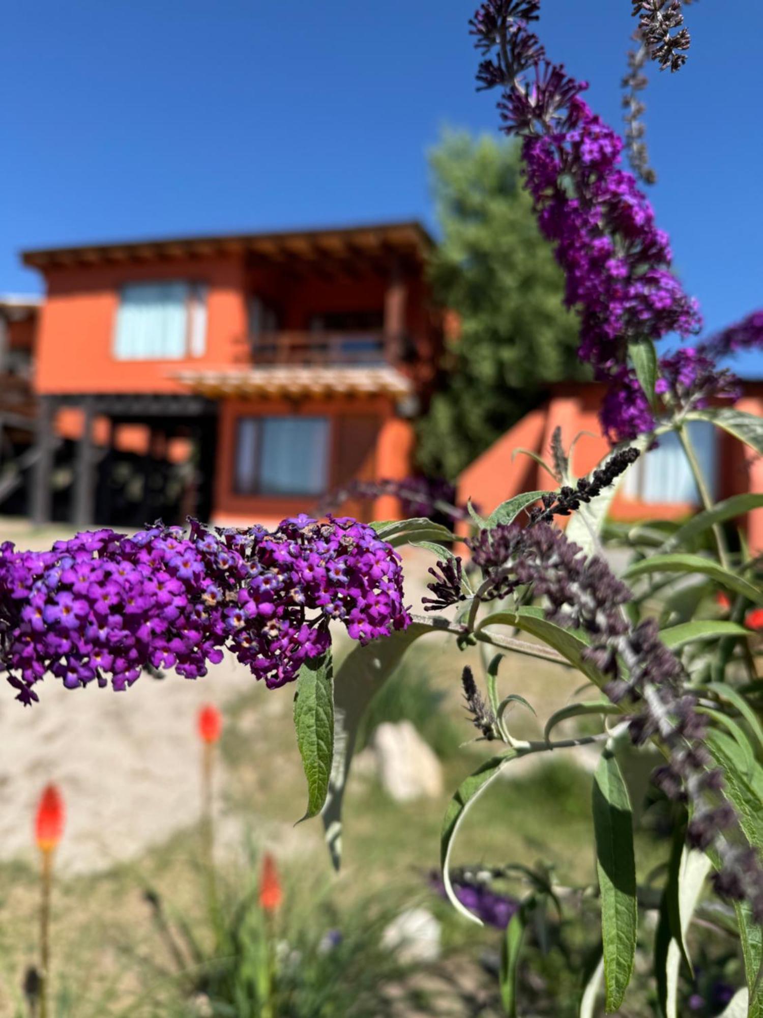 Cabana El Churqui Tafí del Valle Eksteriør bilde